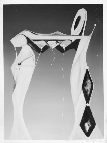 Carousel Image
