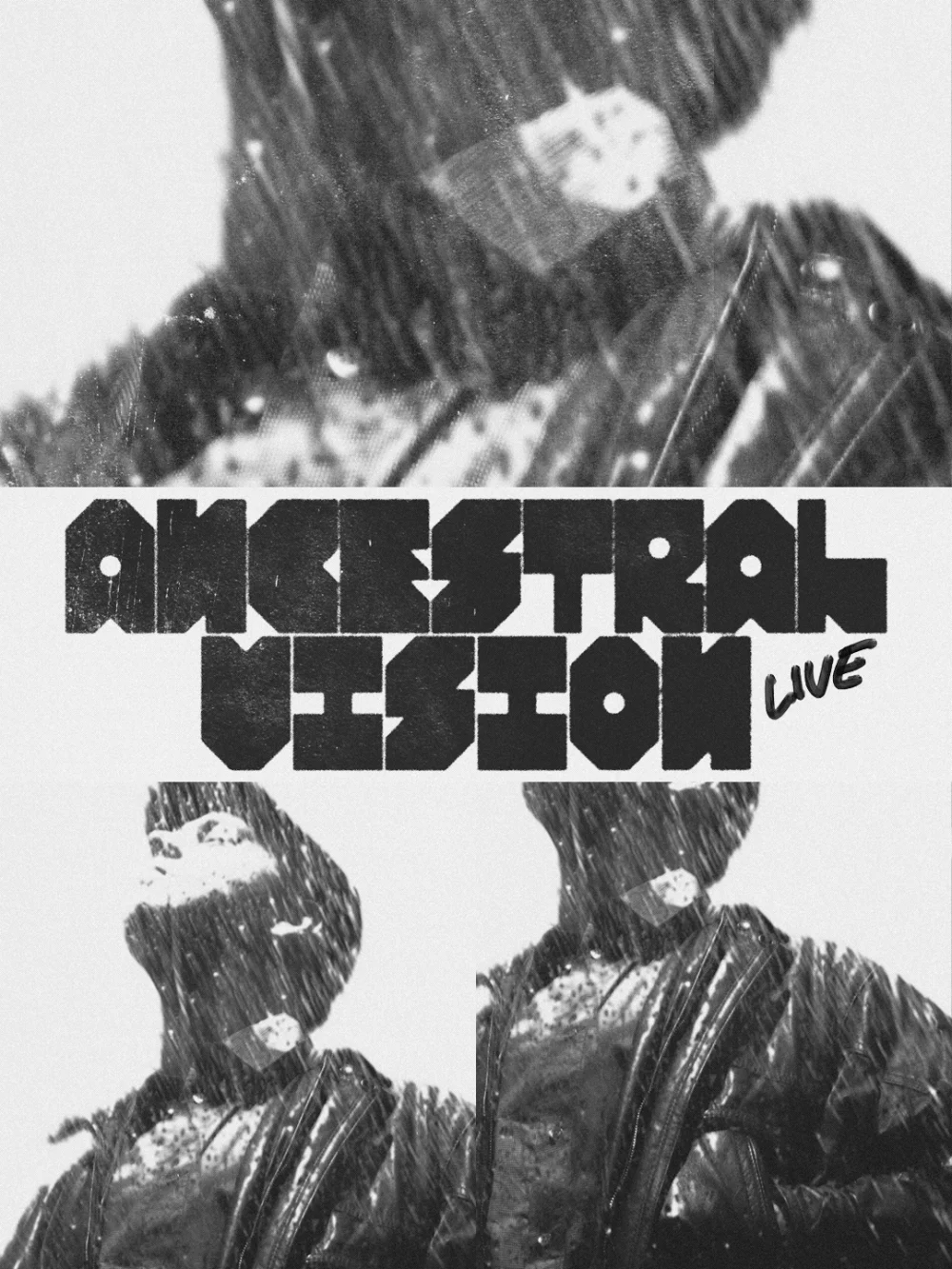 Image of Ancestral Vision 