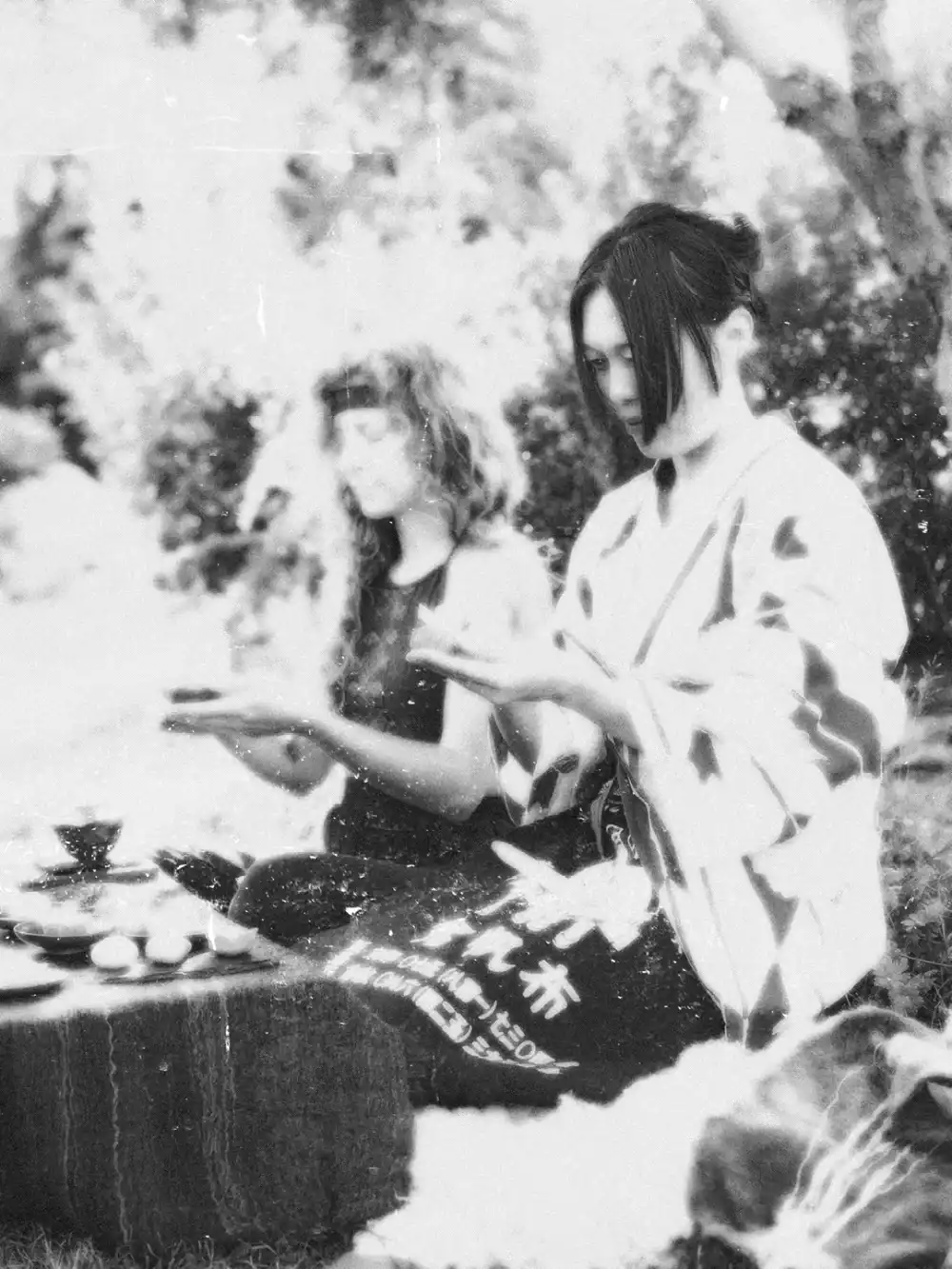 Image of Nanakai
