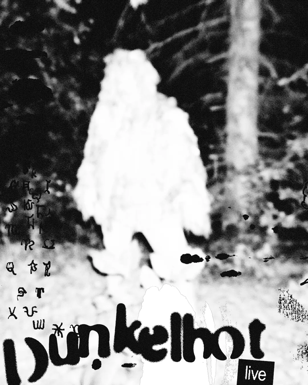 Image of Dunkelbot 